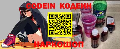 a pvp Новозыбков