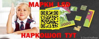 a pvp Новодвинск