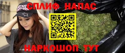 a pvp Новозыбков