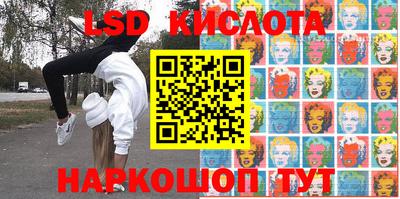 a pvp Новозыбков
