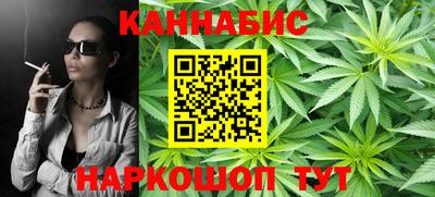 a pvp Новозыбков