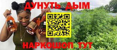 a pvp Новодвинск