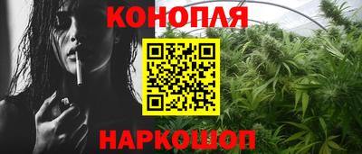 a pvp Новозыбков