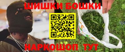 a pvp Новозыбков