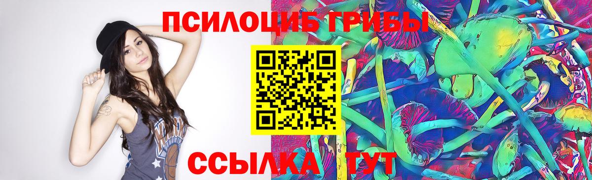 Псилоцибиновые грибы мухоморы  Вход с VPN  Родники  Псилоцибиновые грибы мицелий 